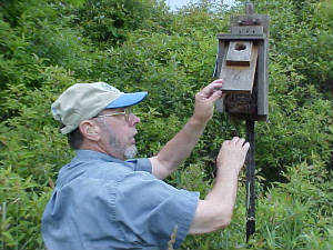 1174327431_housewrenhousemvc-018s