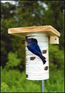 Steve Gilbertson bluebird house