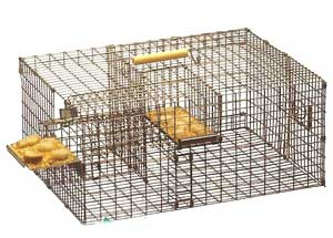 Repeating live trap (courtesy of PMCA and Sialis.org)