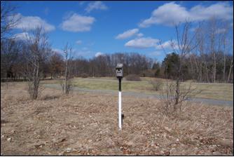 Bluebirds need lots of open space around the box.