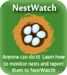 Cornell Nestwatch program website