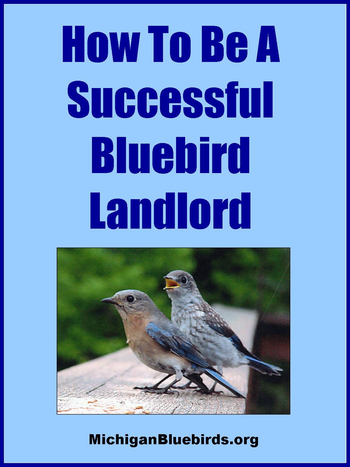 helpingbluebirdscover