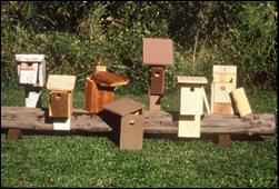 There are many different bluebird box designs that work