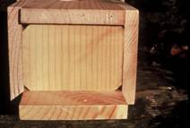 Bottom of nest box with drainage openings.