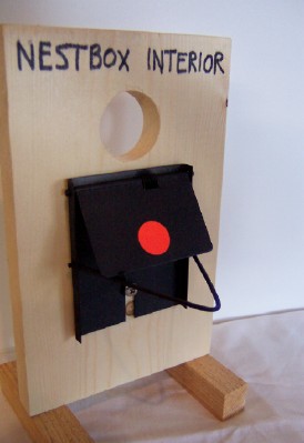 boxtrapset