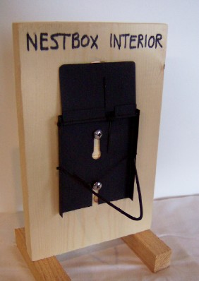 boxtrapsprung